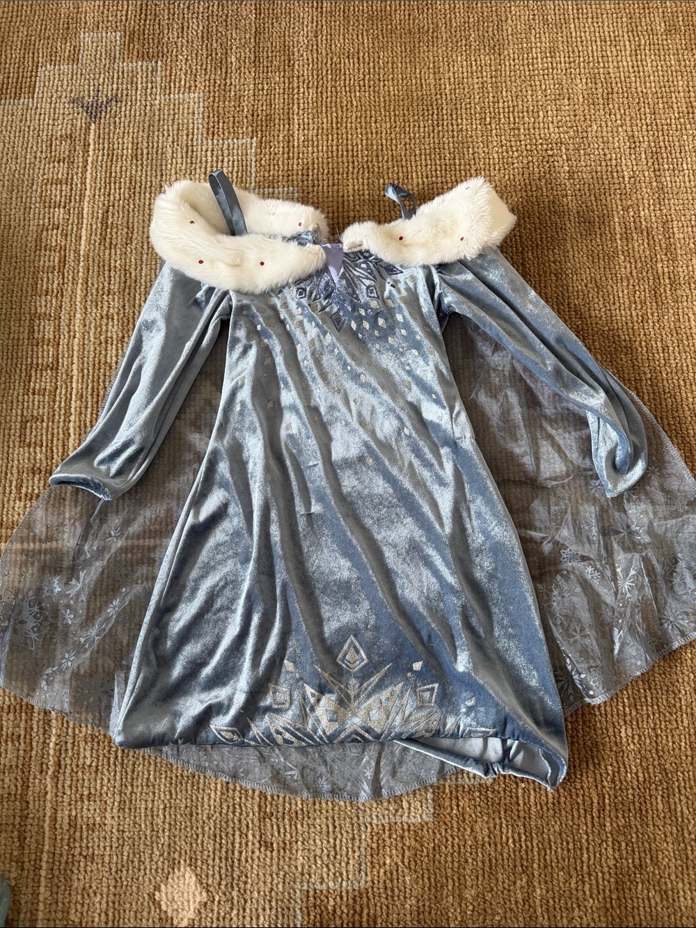 Elsa Winter Costume
